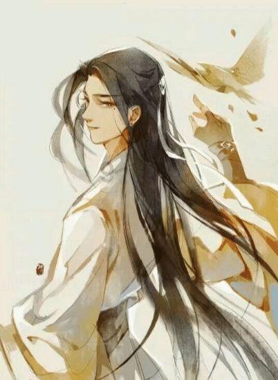 救援猫与武士